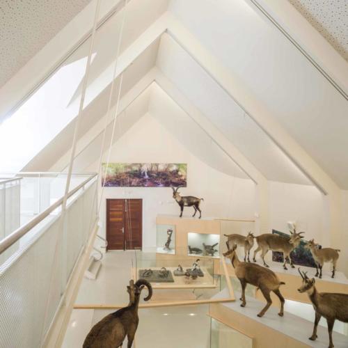 Centro de Exposiciones Carracedelo