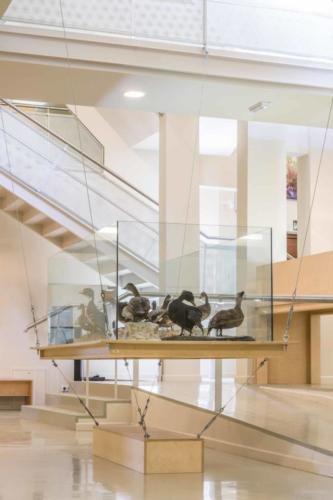 Centro de Exposiciones Carracedelo