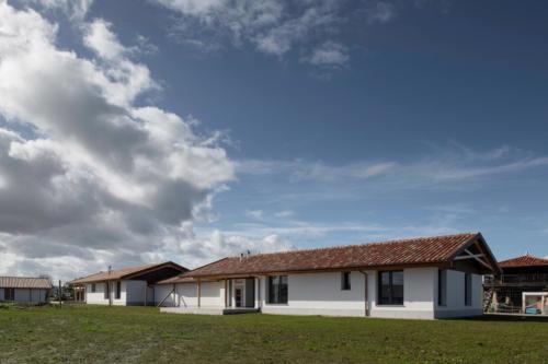 vivienda